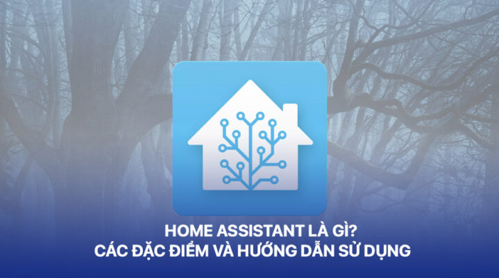 Home Assistant